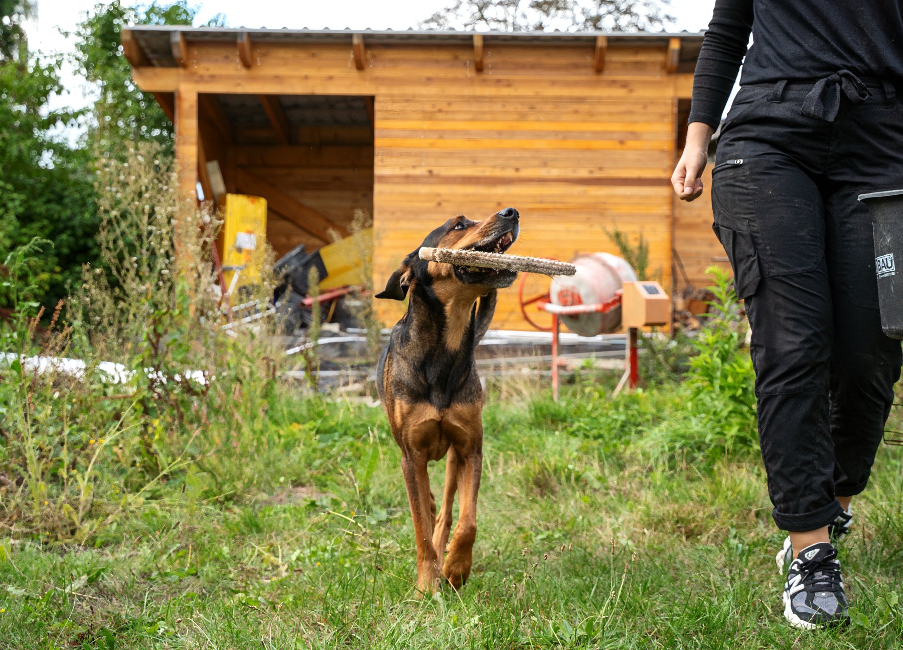 Louis, unser Hund, auf dem Betriebsgelände in Kiel